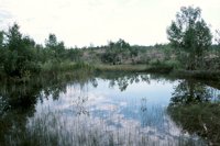 000909_0492_0005_nsls.jpg