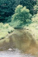 000909_0491_0080_nsls.jpg