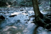 000909_0491_0078_nsls.jpg
