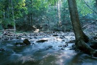 000909_0491_0077_nsls.jpg