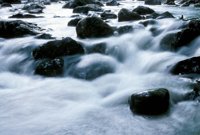 000909_0491_0073_nsls.jpg