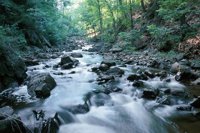 000909_0491_0072_nsls.jpg
