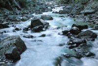 000909_0491_0071_nsls.jpg