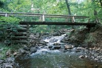 000909_0491_0067_nsls.jpg