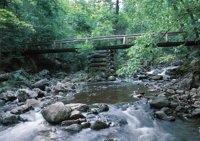 000909_0491_0065_nsls.jpg