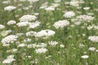 000909_0491_0063_nsls.jpg