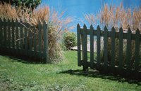000906_0485_0063_nsls.jpg