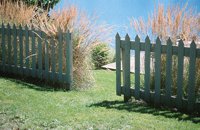 000906_0485_0062_nsls.jpg