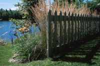 000906_0485_0059_nsls.jpg