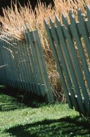 000906_0485_0051_nsls.jpg
