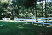 000906_0485_0039_nsls.jpg