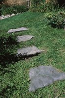 000906_0485_0038_nsls.jpg
