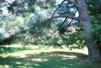 000906_0485_0033_nsls.jpg