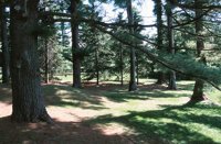 000906_0485_0023_nsls.jpg
