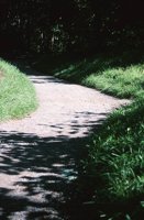 000906_0485_0018_nsls.jpg
