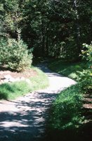 000906_0485_0016_nsls.jpg