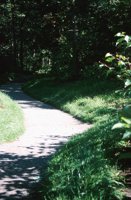 000906_0485_0014_nsls.jpg