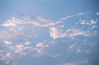 000901_0482_0021_nsls.jpg