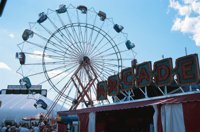 000824_0473_0050_nsls.jpg