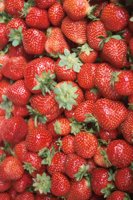 000816_0466_0010_nsls.jpg