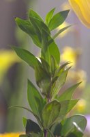 000801_0412_0029_lsls.jpg