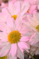 000801_0412_0021_lsls.jpg