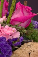 000801_0412_0017_lsls.jpg