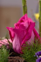 000801_0412_0016_lsls.jpg