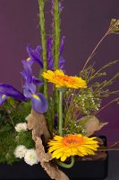 000801_0412_0012_lsls.jpg