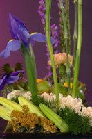 000801_0412_0009_lsls.jpg