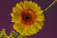 000801_0412_0003_lsls.jpg
