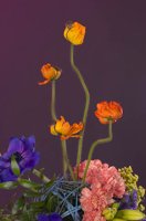 000801_0412_0002_lsls.jpg