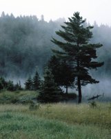 000801_0402_0163_tsls.jpg