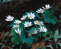 000801_0402_0161_tsls.jpg