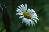 000801_0402_0130_tsls.jpg