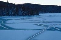 000801_0402_0119_tsls.jpg