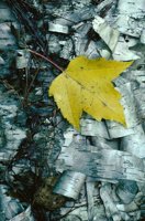 000801_0402_0109_tsls.jpg