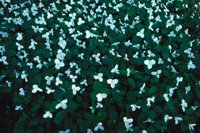 000801_0402_0105_tsls.jpg