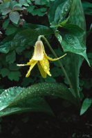 000801_0402_0104_tsls.jpg