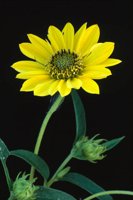 000801_0402_0098_tsls.jpg