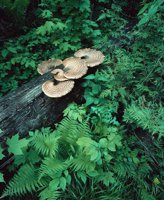 000801_0402_0082_tsls.jpg