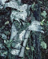 000801_0402_0076_tsls.jpg