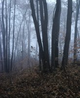 000801_0402_0074_tsls.jpg