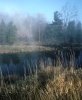 000801_0402_0059_tsls.jpg