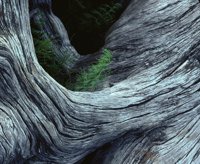 000801_0402_0058_tsls.jpg