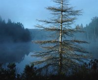 000801_0402_0057_tsls.jpg