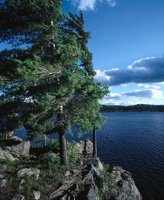 000801_0402_0053_tsls.jpg