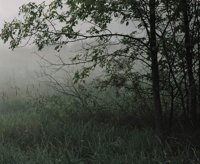000801_0402_0052_tsls.jpg