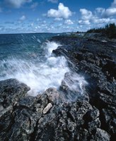 000801_0402_0047_tsls.jpg
