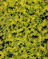 000801_0402_0040_tsls.jpg